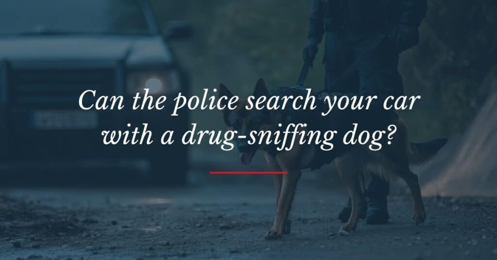 Legality of Drug-Sniffing Dogs